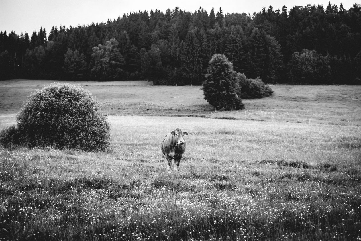 Businessfotografie - Businessportraits für dein Unternehmen