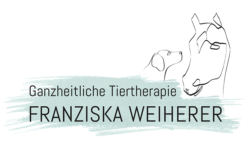 Logoentwicklung Spiegelhof Fotografie